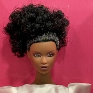 Integrity Toys Basic‎ Edition Luscious Fashion Doll 12.5" NRFB 2010 Black Hair
